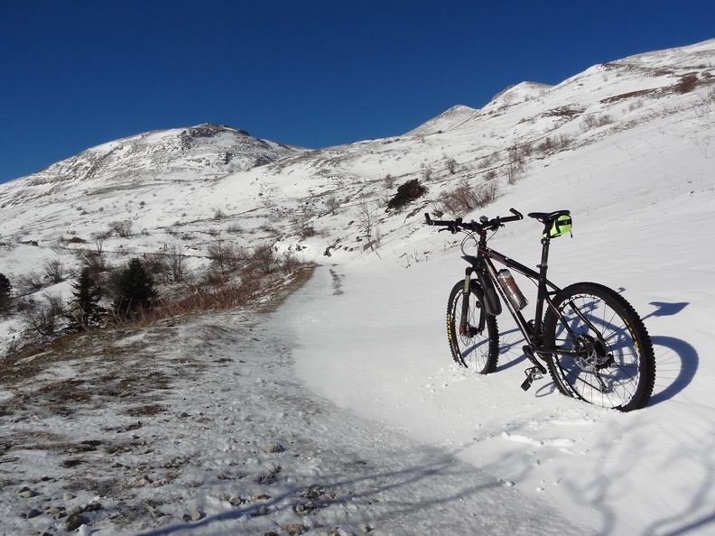 Arrivée dans l'alpage de Fierney (env. 1300 m) Crozet-Faucille_03.jpg