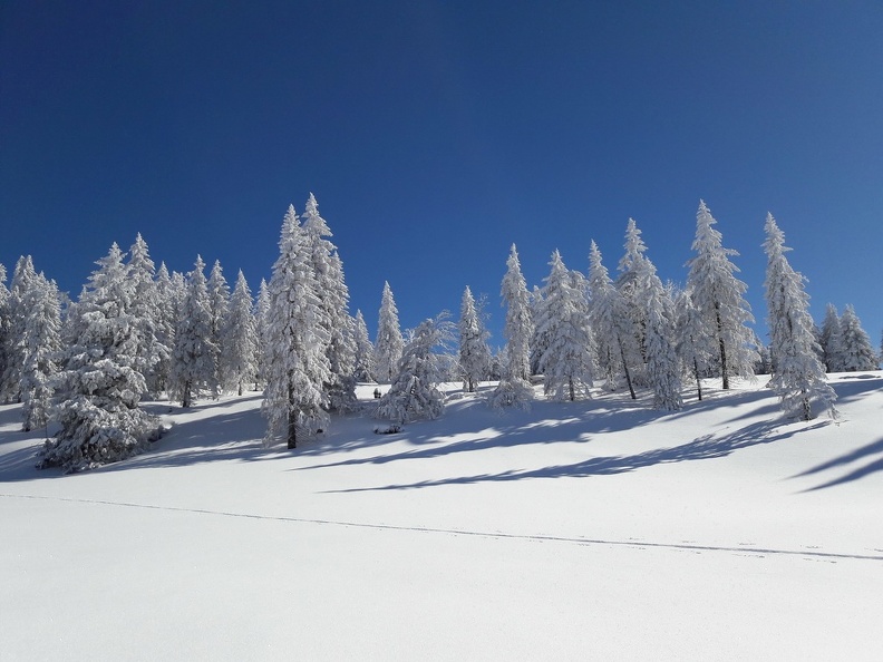 Dans les traces en direction de l'Arzière La Givrine_30.jpg