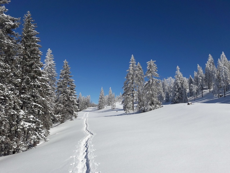 Dans les traces en direction de l'Arzière La Givrine_31.jpg