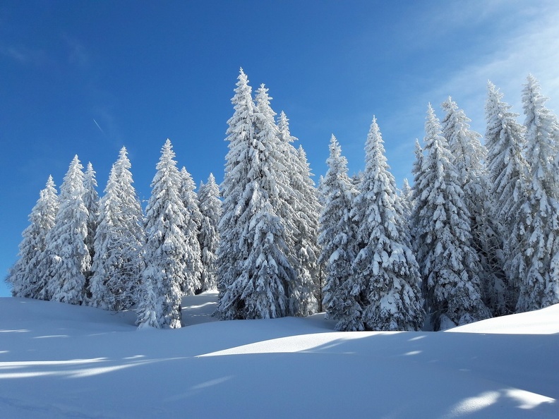 Féérie hivernale en quittant l'Arzière La Givrine_46.jpg