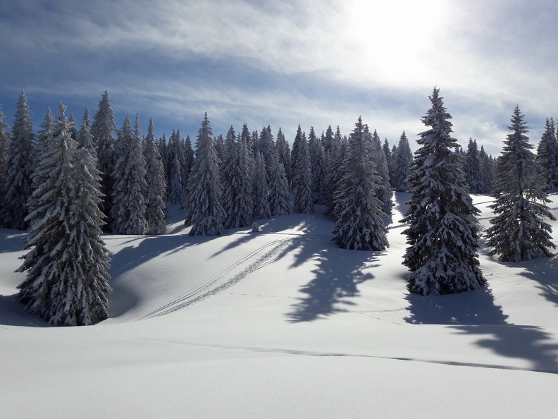 Contre-jour sur le chemin conduisant au Vermeilley La Givrine_50.jpg
