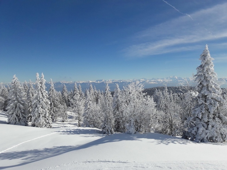 Coup d'oeil vers le bassin lémanique et les Alpes depuis le sommet de la randonnée (sans nom, 1497 m) La Givrine_57.jpg