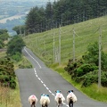 100_irish-road-scene.jpg