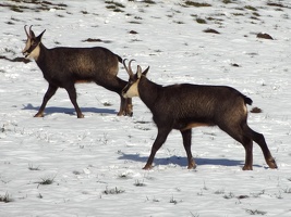 Vallee de Joux 02