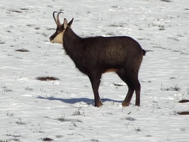 Vallee de Joux 03