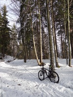 Vallee de Joux 06