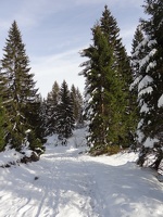 Vallee de Joux 07