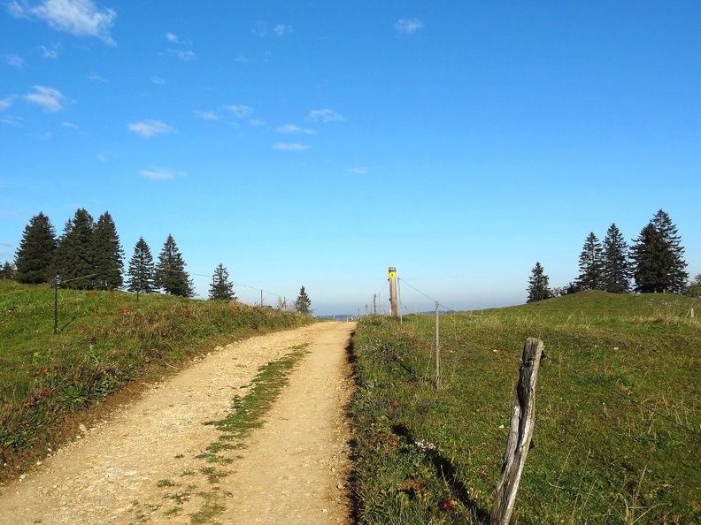 La Vue des Alpes-Nyon_07.jpg