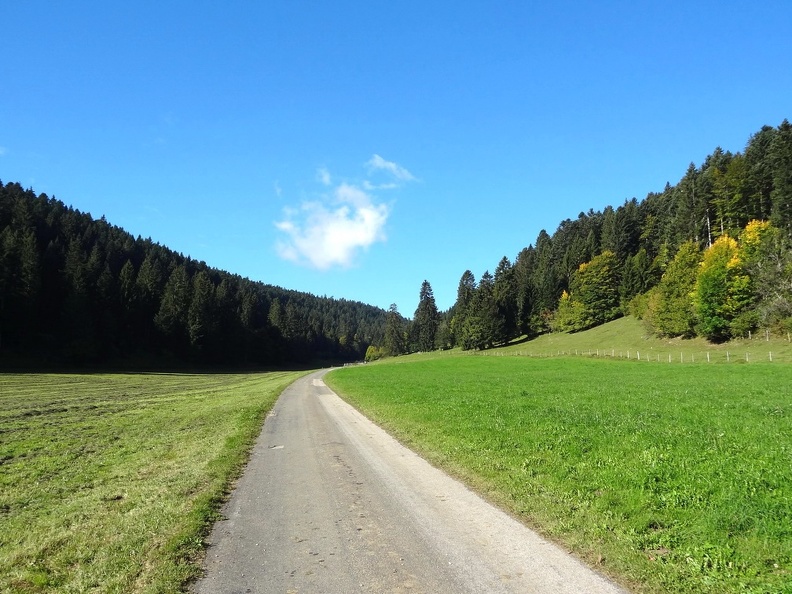 La Vue des Alpes-Nyon_26.jpg