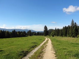 La Vue des Alpes-Nyon 29