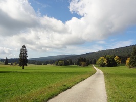 La Vue des Alpes-Nyon 32