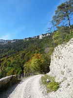 La Vue des Alpes-Nyon 40