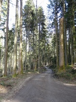 La Route du Coeur 26