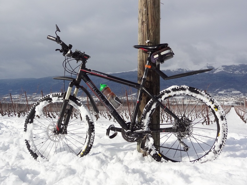 Sur le coteau de Choully dans le vignoble du Mandement, le 15 janvier 2017. Altitude : 500 m. Allondon-Jura_08_lr.jpg