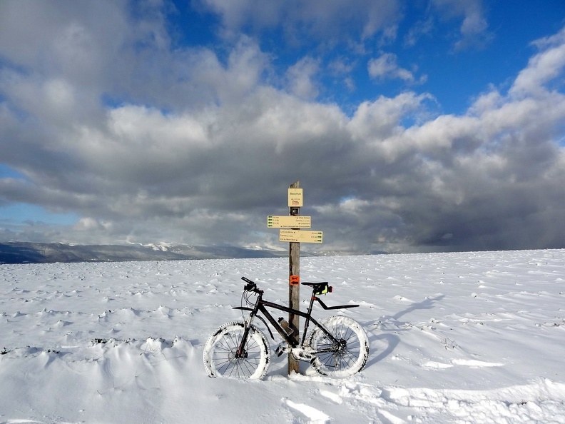 Panneau indicateur au lieu-dit Bacchus, sur le Chemin de St-Jacques-de-Compostelle, peu fréquenté ce 28 décembre 2017... Altitude : 815 m. St-Blaise-Mt-Sion_25.jpg