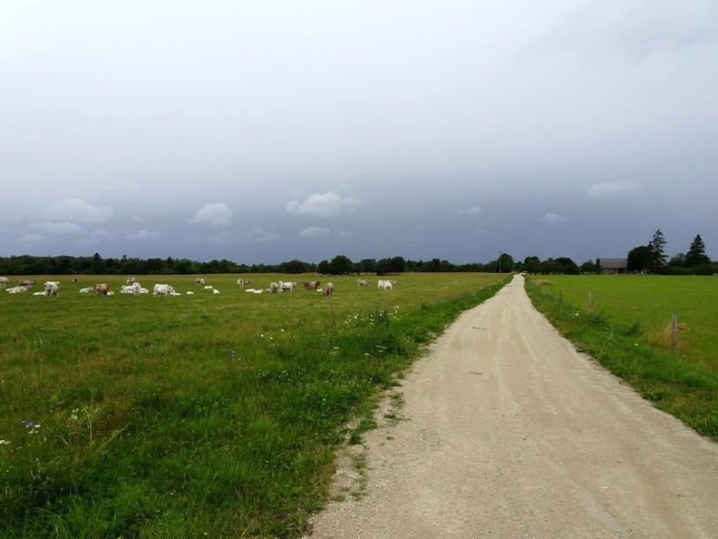 Baltique-2019_056.jpg