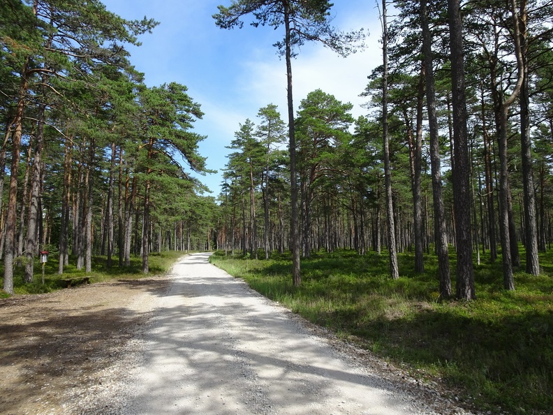 Baltique-2019_076.jpg