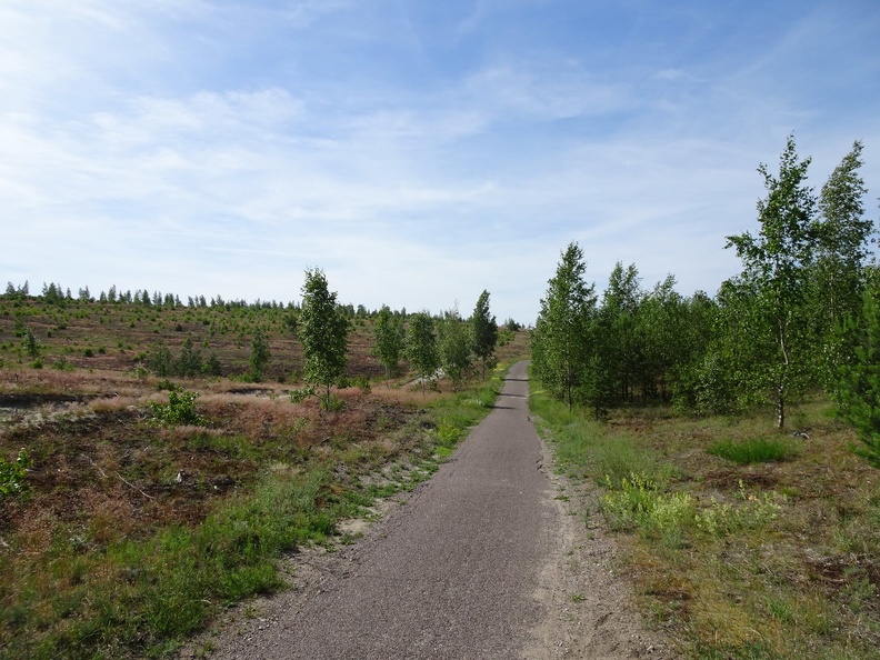 Baltique-2019_008.jpg