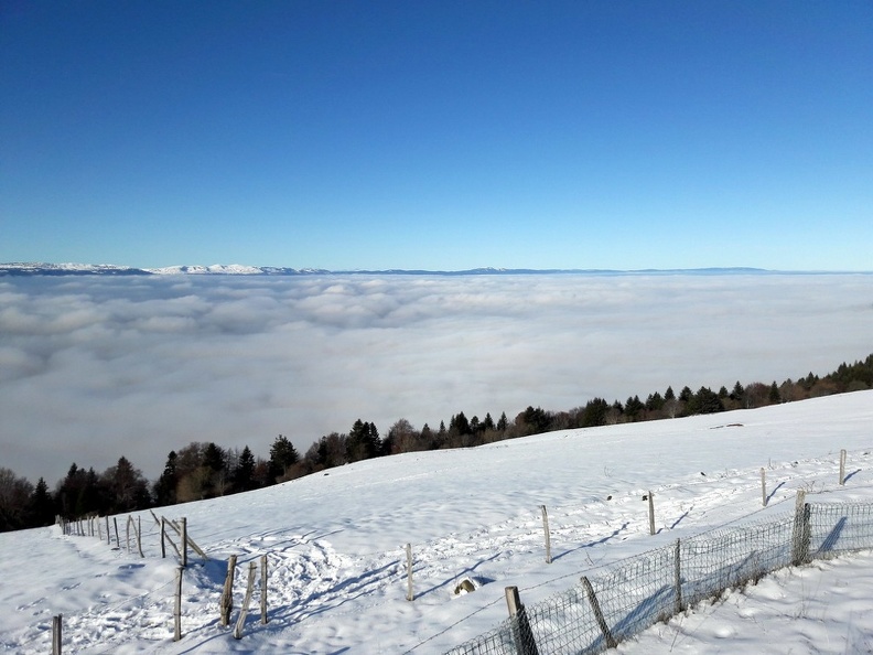 Maxi-Saleve1_26.jpg