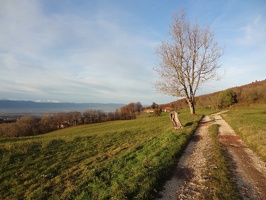 Maxi-Saleve2 19