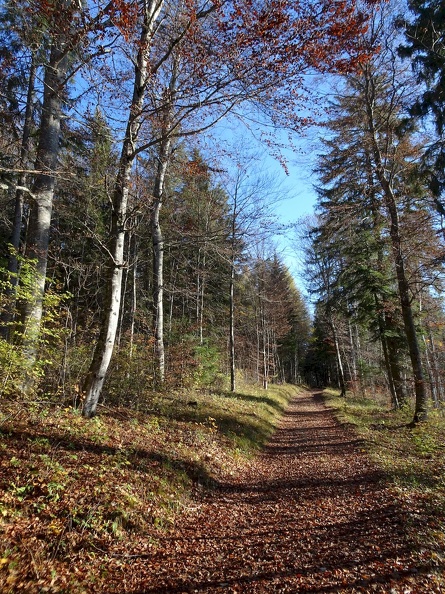 10_Jura_31.10.20.jpg