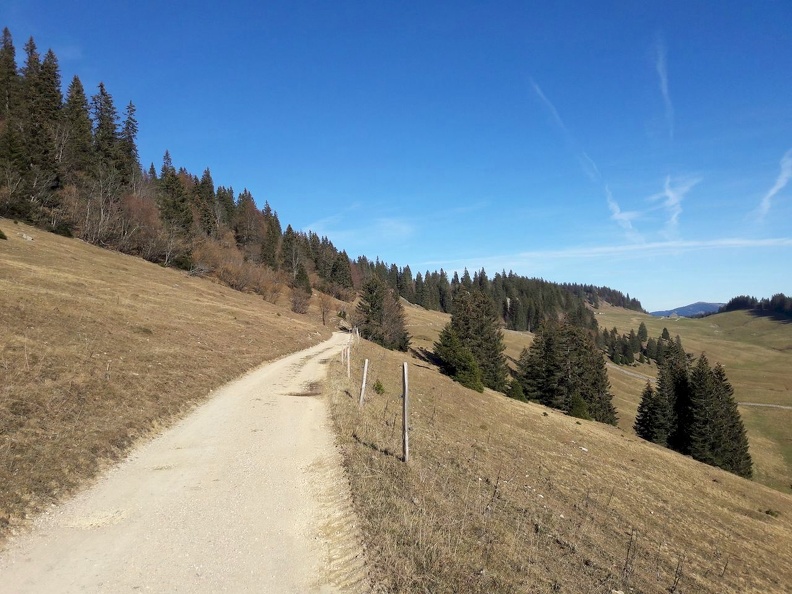 31_Jura_14.11.20.jpg