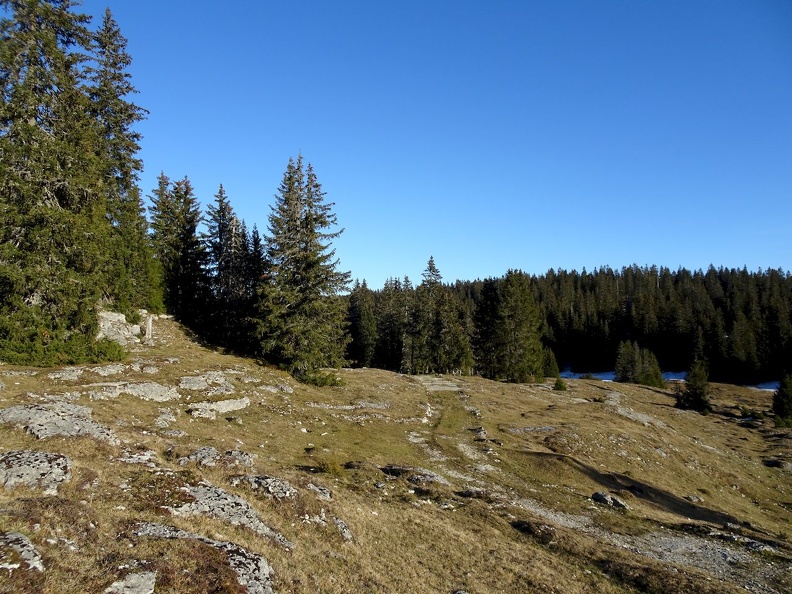 80_Jura_28.11.20.jpg