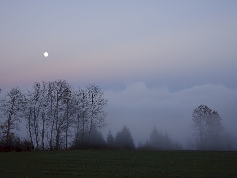 81_Jura_28.11.20.jpg