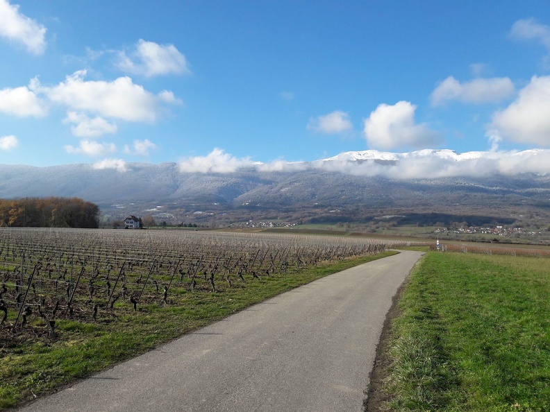 GE_06.12.20_05.jpg
