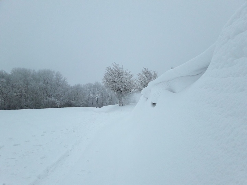 MtSion_4.01.21_15.jpg
