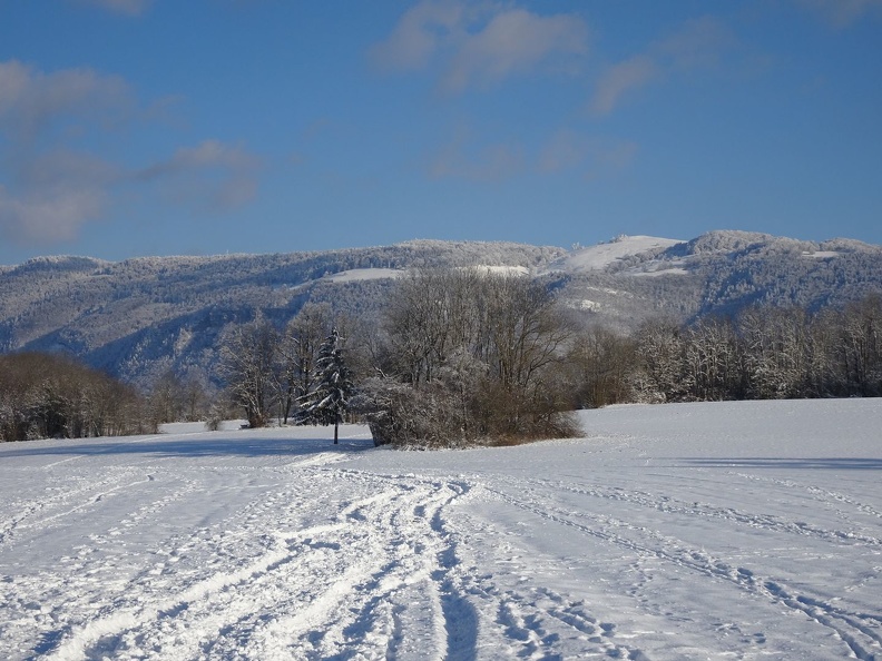 MtSion_8.01.21_31.jpg