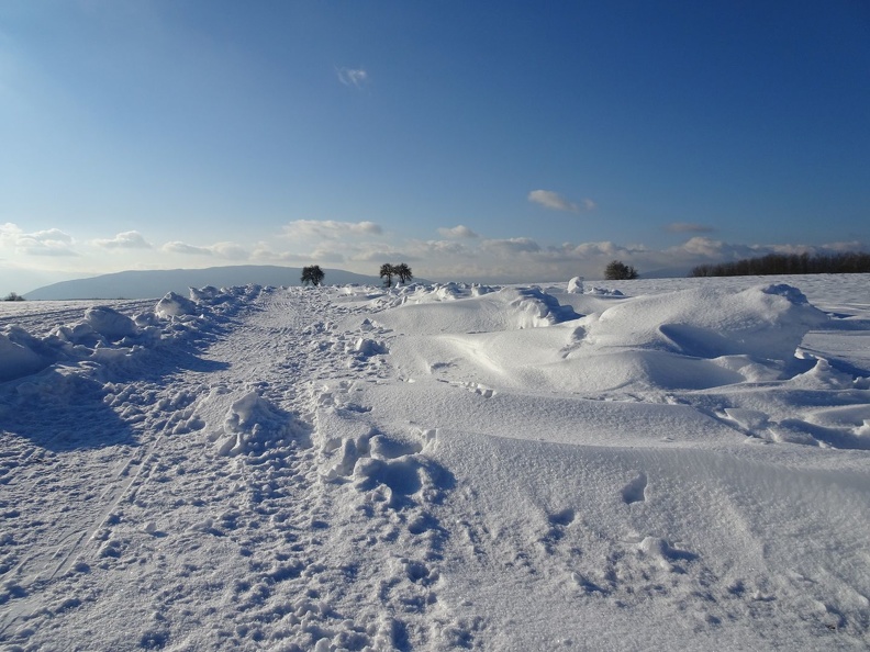 MtSion_8.01.21_36.jpg