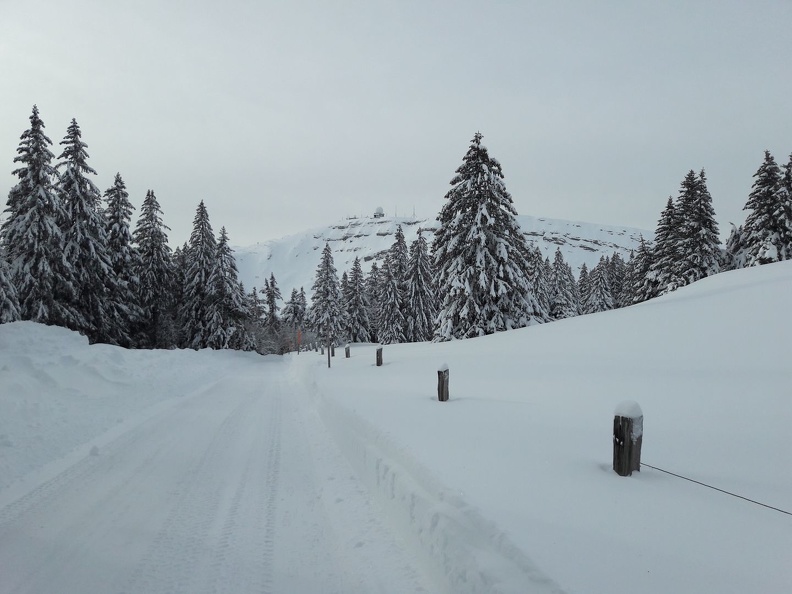 Barillette_16.01.21_26.jpg