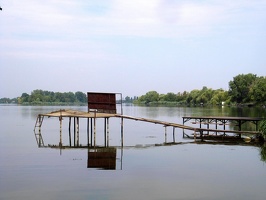 Danube 50
