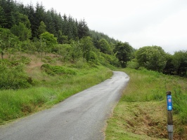 030 route-8-through-hafren-forest