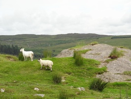 042 shehy-mountains-landscape