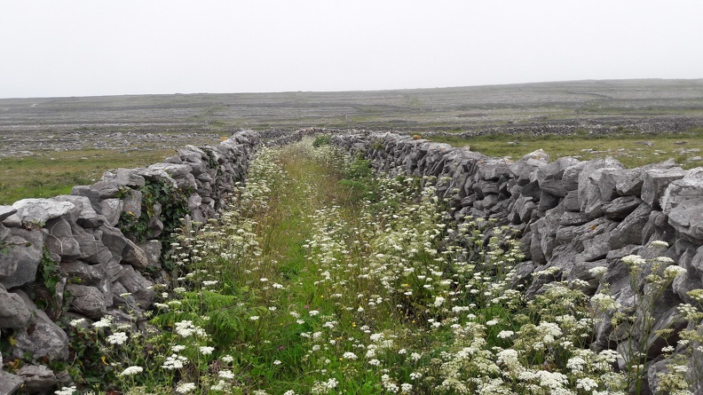 079_inishmore-landscape.jpg