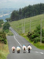 100 irish-road-scene