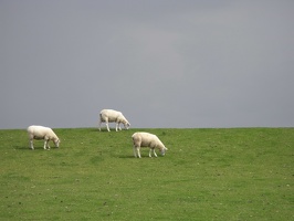 039 nordseekusten-radweg