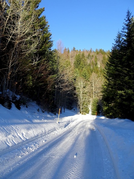 Barillette_15.01.22_26.jpg