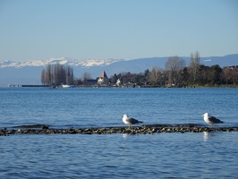 Lausanne-GE 22.01.22 11