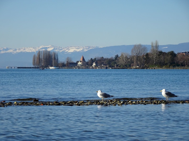 Lausanne-GE_22.01.22_11.jpg