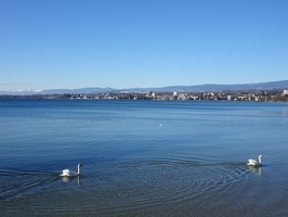 Lausanne-GE 22.01.22 16