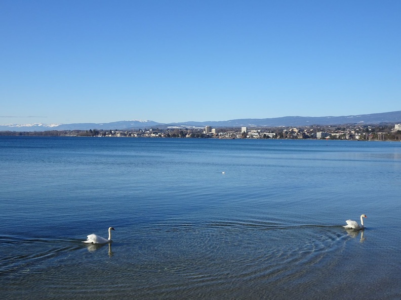 Lausanne-GE_22.01.22_16.jpg