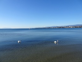 Lausanne-GE 22.01.22 15