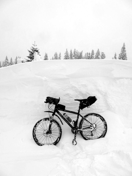 Barillette 11.12.21_34.jpg