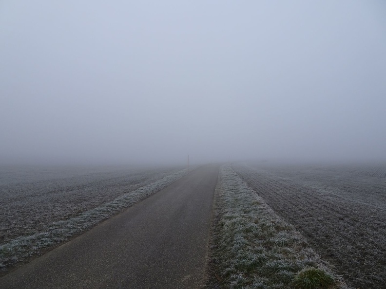 Barillette_26.01.22_01.jpg