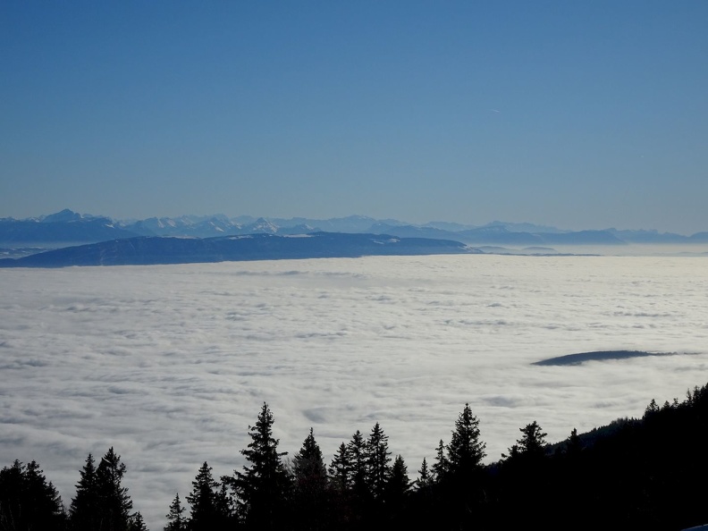 Barillette_26.01.22_11.jpg