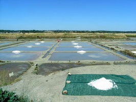 279 Marais salants de Guérande