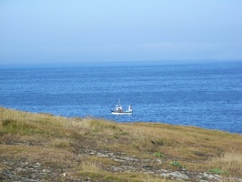 349 Quiberon - Côte sauvage